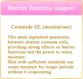 バリア機能サポート セラミドGL（保湿） 皮膚の角層細胞の間を埋める主成分で、バリア機能やうるおいを保つ力に大きく関わっています。セラミドが十分にある肌は、水分を蒸発させない状態を長く保つことができます。