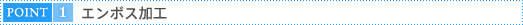 POINT1 �G���{�X���H
