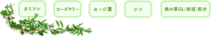 カミツレ, ローズマリー, セージ葉, シソ, 桃の葉GL（保湿）配合