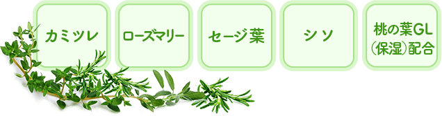 カミツレ, ローズマリー, セージ葉, シソ, 桃の葉GL（保湿）配合