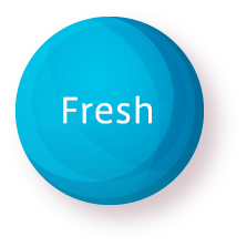 Lightweight & Fresh
