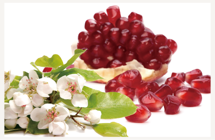 Hyaluronic acid Pomegranate extract Cherry blossom extract