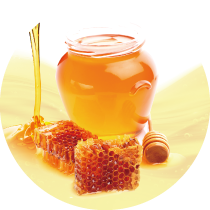 Royal jelly extract