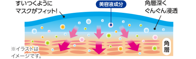 美容液成分の説明のイラスト