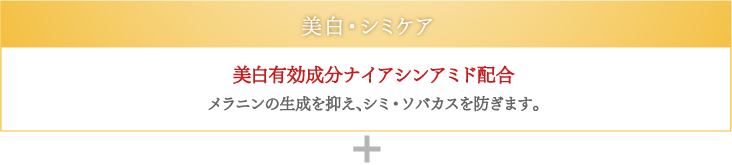 美白・シミケア 美白有効成分ナイアシンアミド配合 メラニンの生成を抑え、シミ・ソバカスを防ぎます。