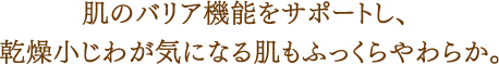 肌のバリア機能をサポートし、乾燥小じわが気になる肌もふっくらやわらか。