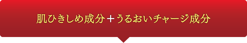 肌ひきしめ成分＋うるおいチャージ成分