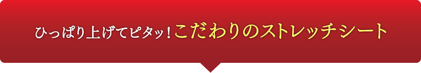 ひっぱり上げてピタッ！こだわりのストレッチシート