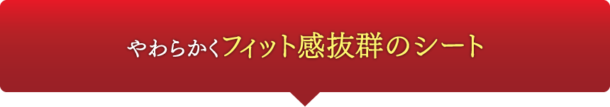 やわらかくフィット感抜群のシート