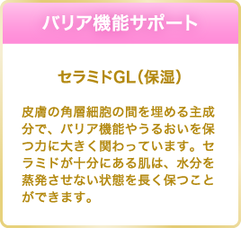 バリア機能サポート セラミドGL（保湿） 皮膚の角層細胞の間を埋める主成分で、バリア機能やうるおいを保つ力に大きく関わっています。セラミドが十分にある肌は、水分を蒸発させない状態を長く保つことができます。