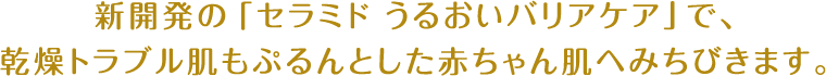 新開発の「セラミド うるおいバリアケア」で、乾燥トラブル肌もぷるんとした赤ちゃん肌へみちびきます。