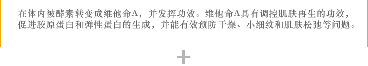 在体内被酵素转变成维他命A，并发挥功效。维他命A具有调控肌肤再生的功效，促进胶原蛋白和弹性蛋白的生成，并能有效预防干燥、小细纹和肌肤松弛等问题。