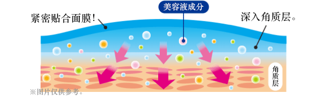 美容液成分の説明のイラスト