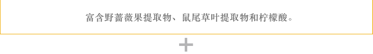 富含野蔷薇果提取物、鼠尾草叶提取物和柠檬酸。