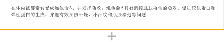 在体内被酵素转变成维他命A，并发挥功效。维他命A具有调控肌肤再生的功效，促进胶原蛋白和弹性蛋白的生成，并能有效预防干燥、小细纹和肌肤松弛等问题。