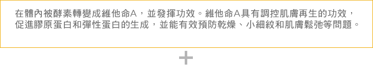 在體內被酵素轉變成維他命A，並發揮功效。維他命A具有調控肌膚再生的功效，促進膠原蛋白和彈性蛋白的生成，並能有效預防乾燥、小細紋和肌膚鬆弛等問題。