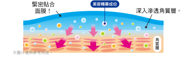 美容液成分