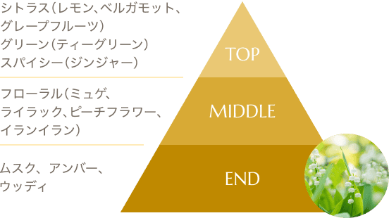 シトラス（レモン、ベルガモット、グレープフルーツ） グリーン（ティーグリーン） スパイシー（ジンジャー）　フローラル（ミュゲ、ライラック、ピーチフラワー、イランイラン）　ムスク、アンバー、ウッディ