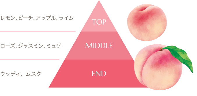 レモン、ピーチ、アップル、ライム　ローズ、ジャスミン、ミュゲ　ウッディ、ムスク