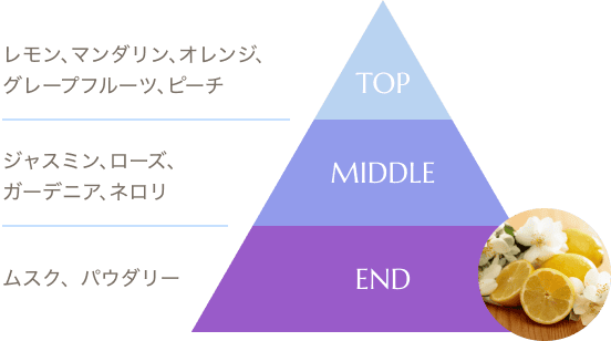 レモン、マンダリン、オレンジ、グレープフルーツ、ピーチ　ジャスミン、ローズ、ガーデニア、ネロリ　ムスク、パウダリー