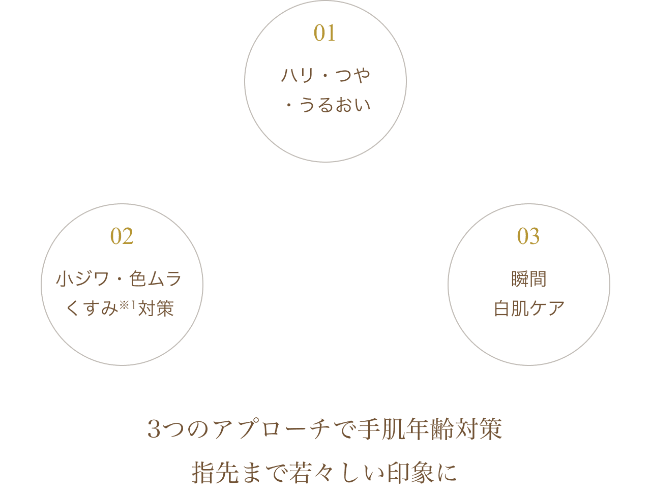 01ハリ・つや・うるおい 02小ジワ・色ムラくすみ※1対策 03瞬間白肌ケア 3つのアプローチで手肌年齢対策 指先まで若々しい印象に