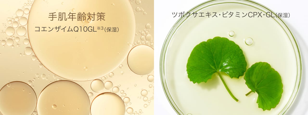 手肌年齢対策 コエンザイムQ10GL※2（保湿）　透明感 ツボクサエキス